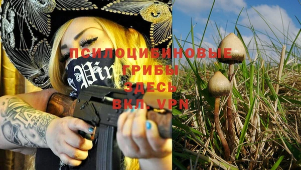 стафф Покачи