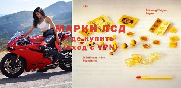 стафф Покачи