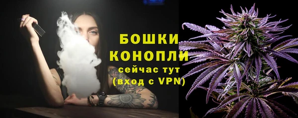 стафф Покачи