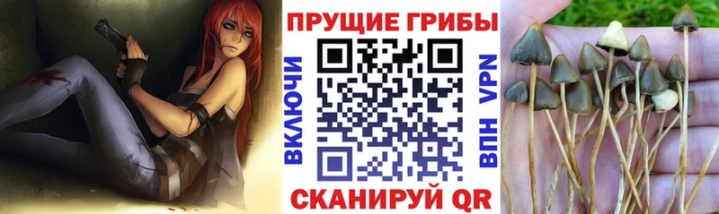 Псилоцибиновые грибы ЛСД  Кириллов 