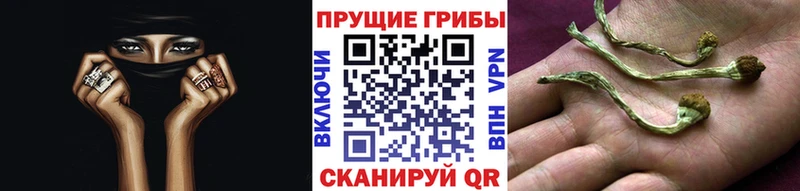 Галлюциногенные грибы Cubensis Кириллов